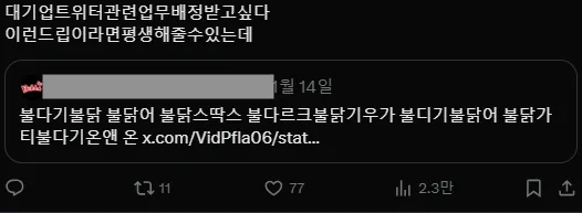 이미지 = X캡처 (https://x.com/elsv_w/status/1879434425467048251)