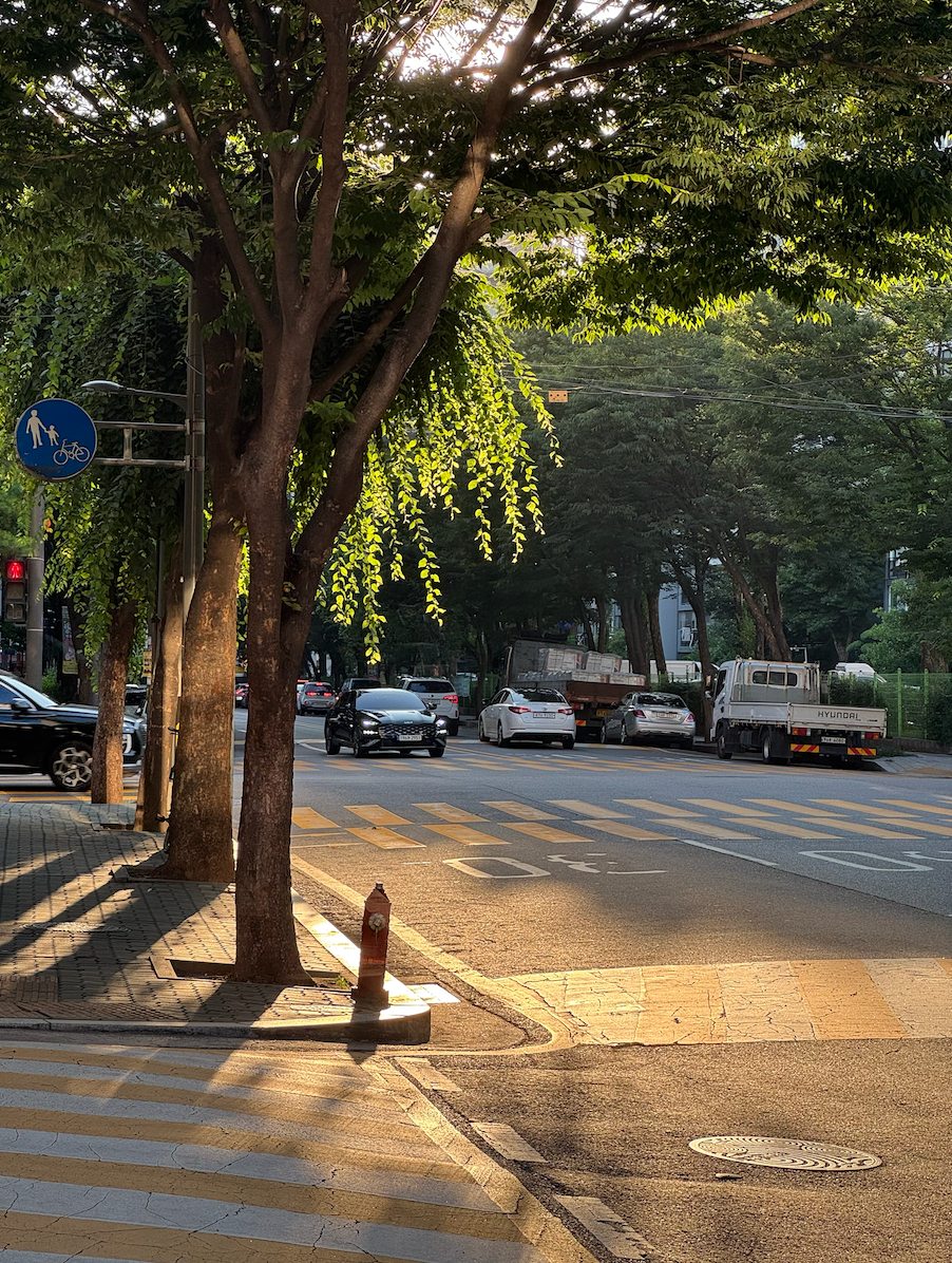 깊이 내려앉은 오후의 햇살이 포근하게 느껴지던 어느 날의 퇴근길 풍경