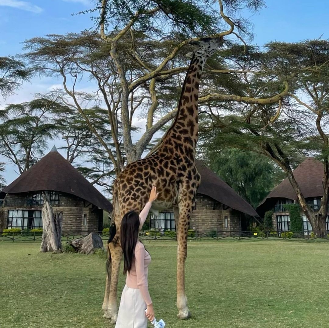 개인적으로 부모님과의 여행은 효도와 마찬가지라고 생각해요. 편집짱도 엄마랑 정말 친하게 지내지만, 여행에서는 서로 의지할 수 밖에 없기에 감회가 남다르더라고요. 무엇보다 고생을 함께하며 둘만 나눌 수 있는 추억과 이야기거리가 생겼다는 게 너무 값진 것 같습니다. 다음엔 아빠랑 단둘이 가보는 게 소원입니닷!!