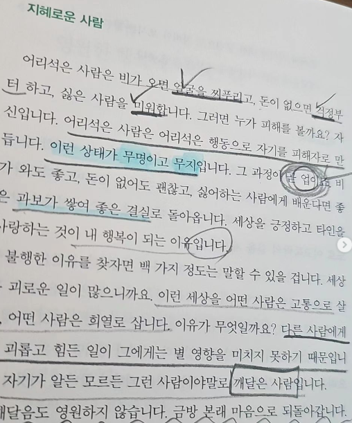 제목 없음의 썸네일 이미지