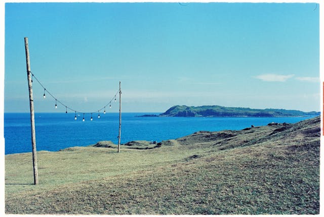 프레임 선점, 단어 선점 l 저점 트래픽에서의 생존의 썸네일 이미지