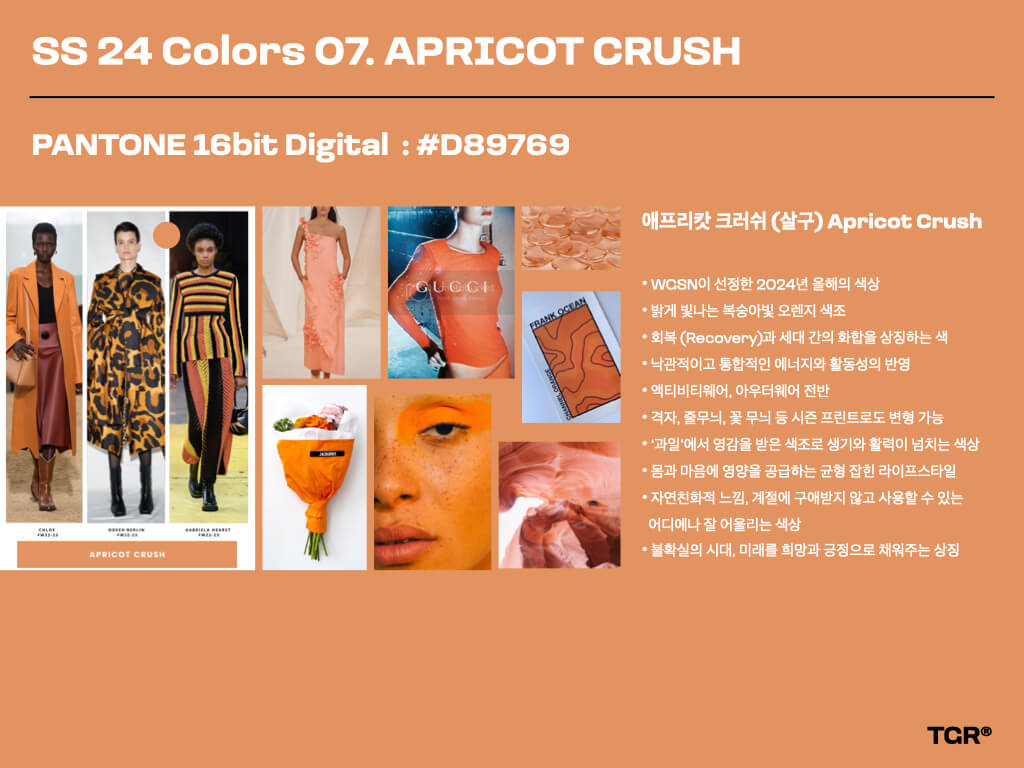 애프리캇 크러쉬 (살구) Apricot Crush | PANTONE 16bit Digital : #D89769