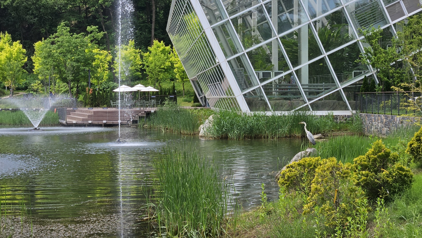 그리고 고고한 왜가리까지