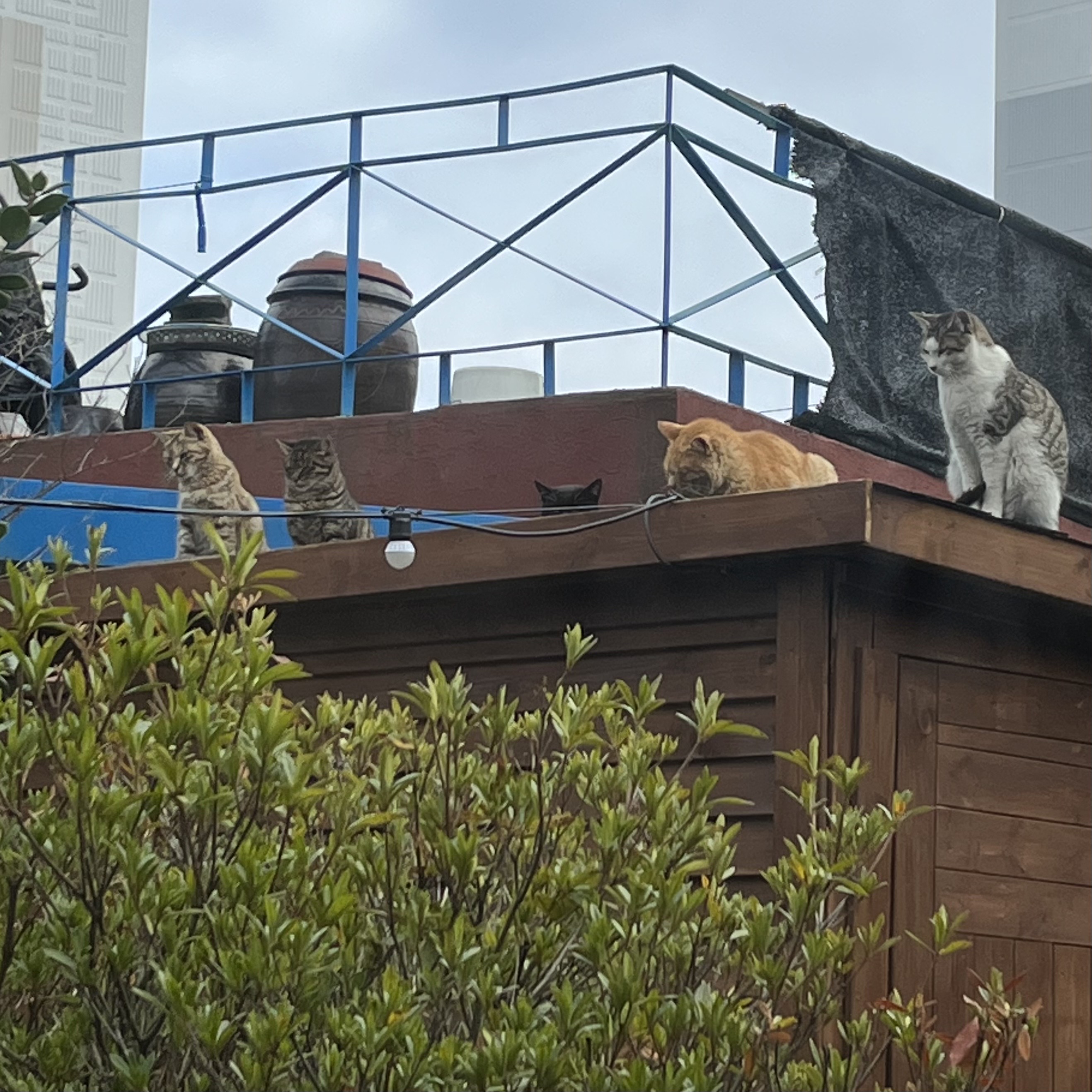 세상에는 귀여운 것들이,사랑이, 생명력이 가득해요.