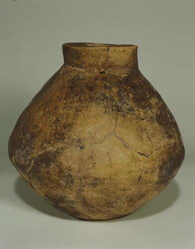 <i><b>Figure.1 </b></i>이란에서 발견된 7천년 된 와인병