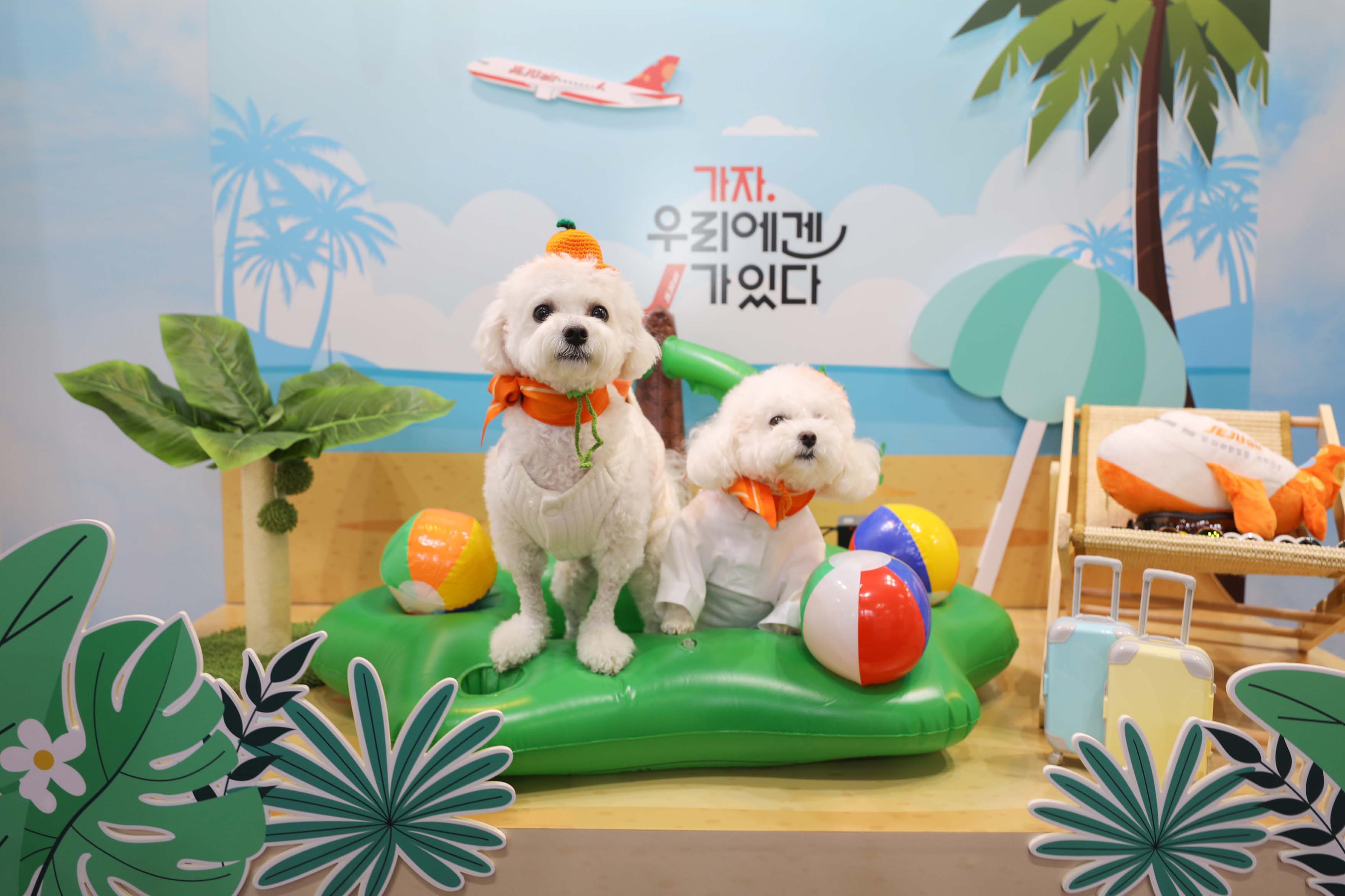 출처 : AK홀딩스