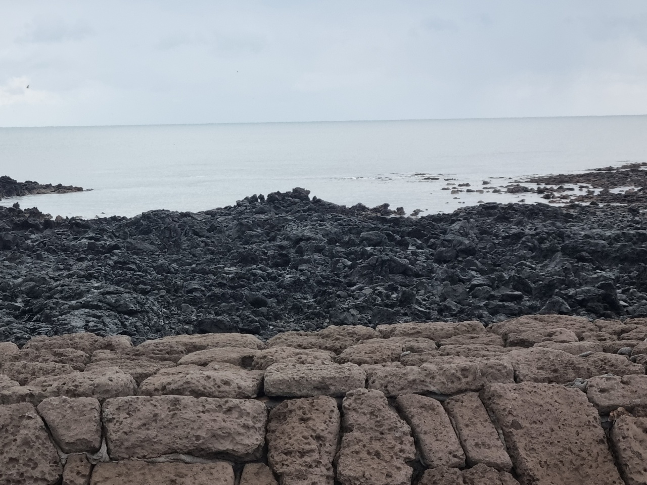 잘 안 보이겠지만 눈이 오고 있다