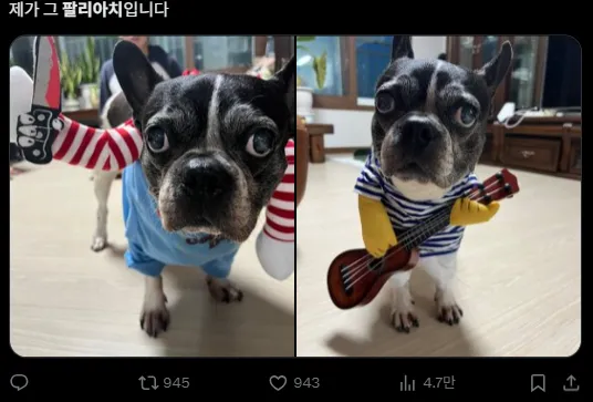 이미지 = X캡처 (https://x.com/SadNachuyachumi/status/1928244120578843102)