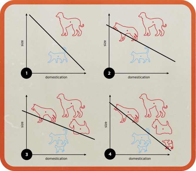 <b><i>Figure 2. </i></b>퍼셉트론이 학습을 통해 추론하는 방식ⒸElizabeth Goodspeed 