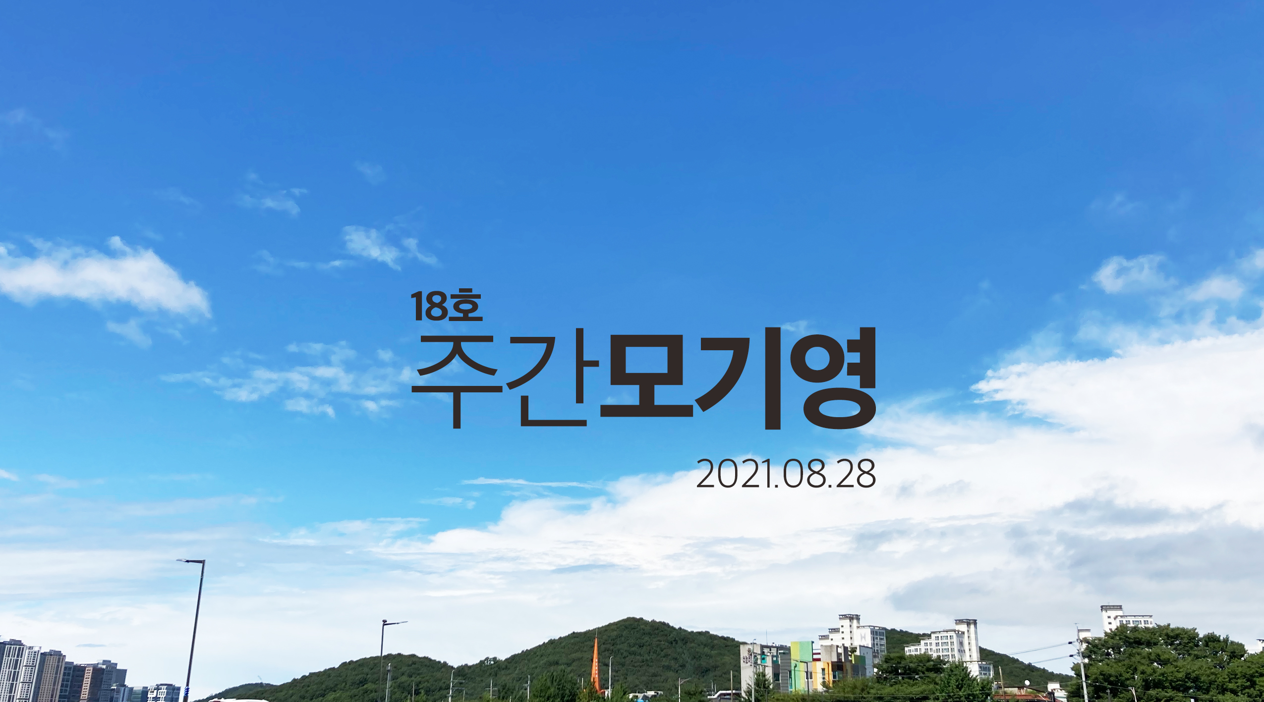 2021년 18호 주간모기영