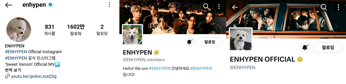 (좌측부터) 가을이, 레이라, 마음이