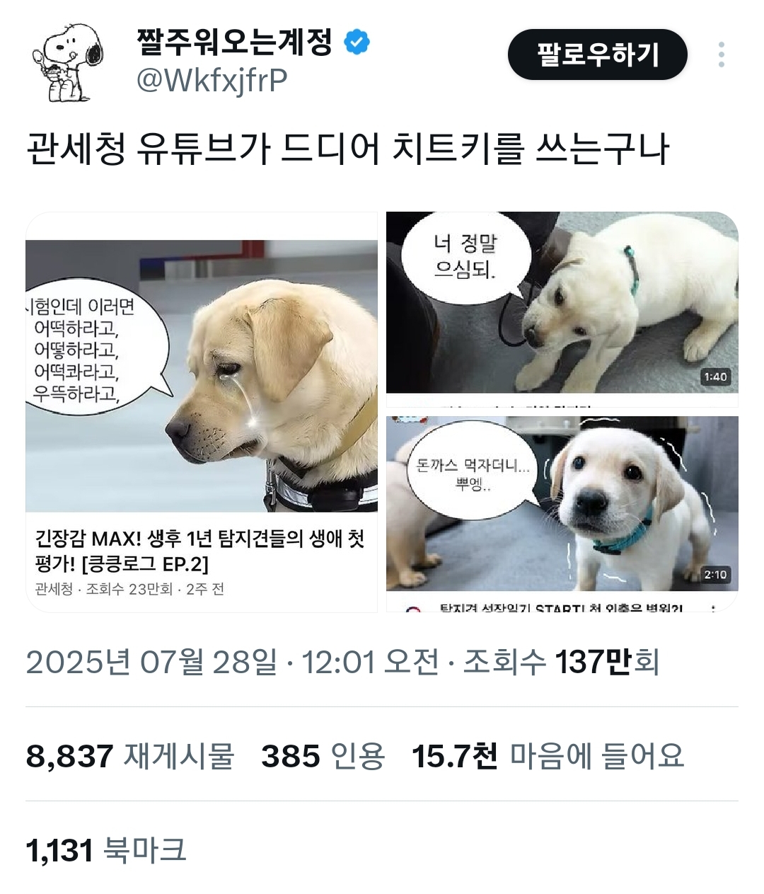 이미지 출처: X 유저 @WkfxjfrP