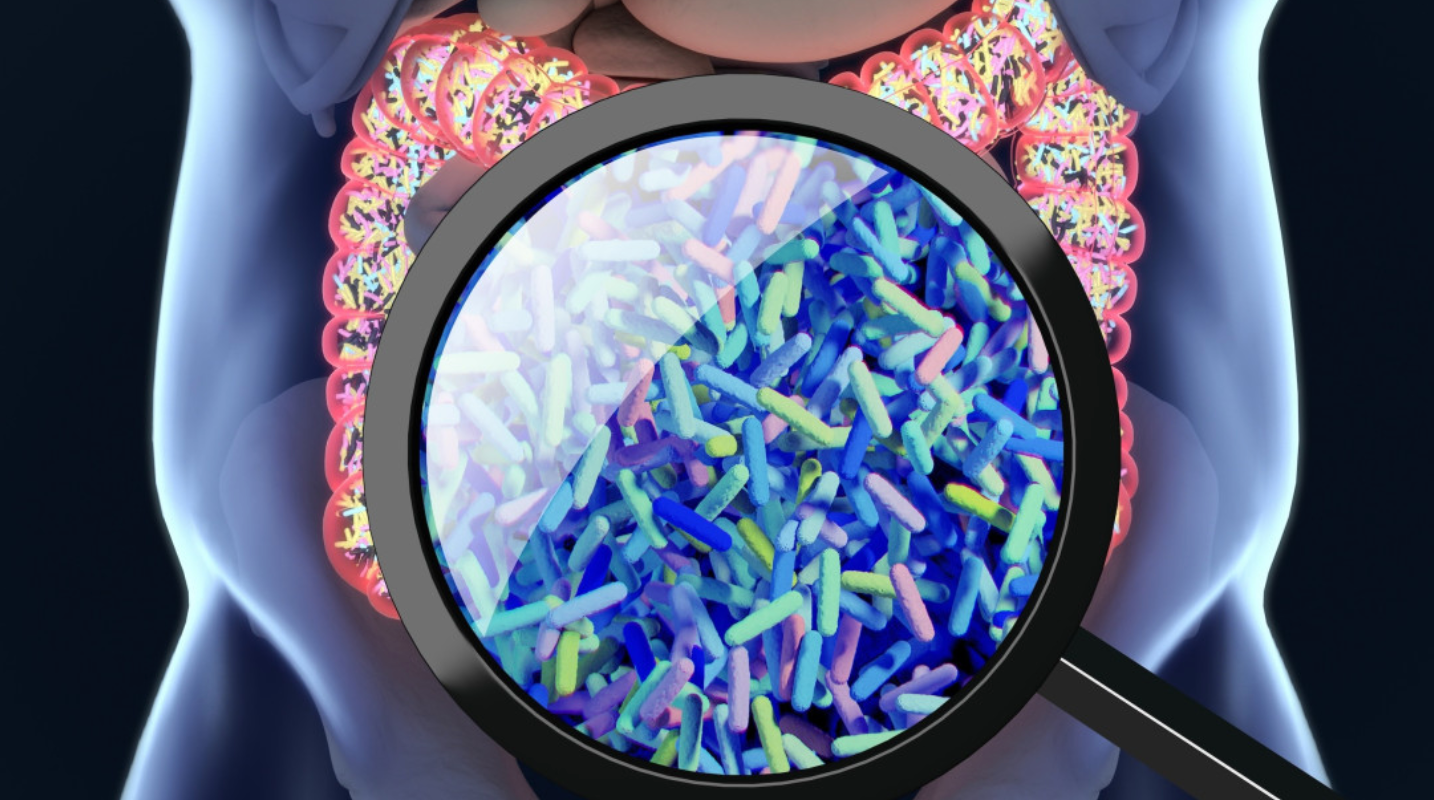 How gut bacteria change after exposure to pesticides (농약에 노출되면 장내 미생물은 어떻게 변할까?) 의 썸네일 이미지