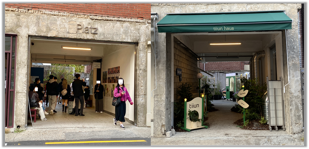 출처 : 헤일리 촬영한 현장 스틸컷