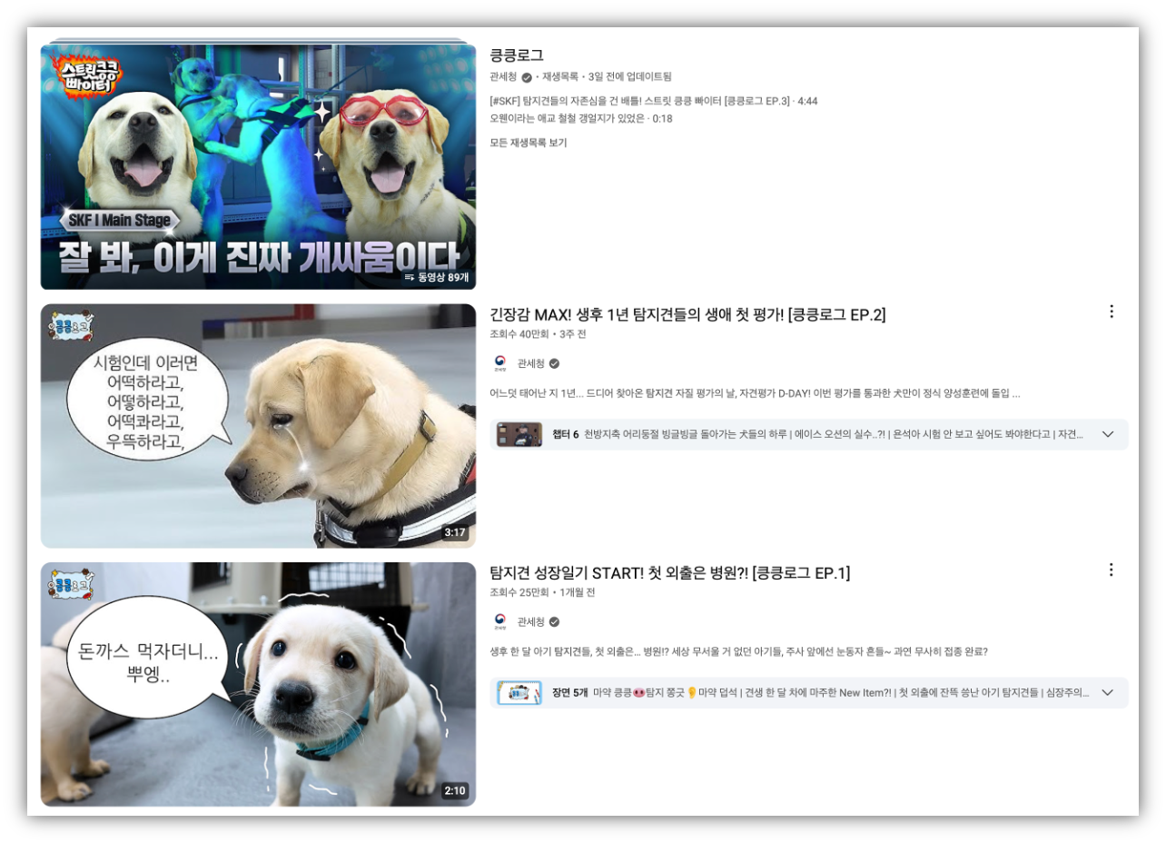 출처 : 유튜브 관세청 채널