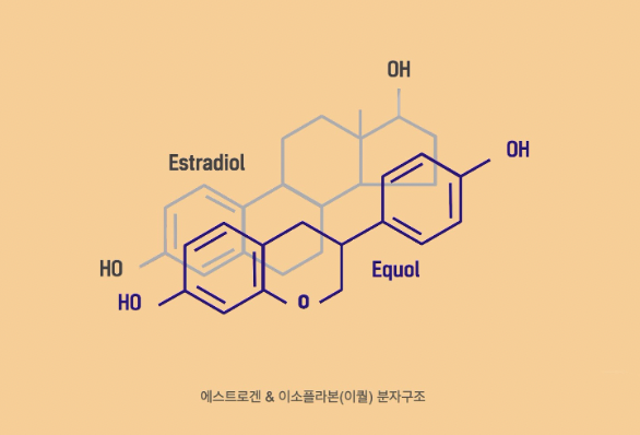 정말 유사하게 생겼죠?