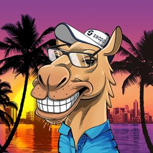 아랍 낙타들의 이미지 중 하나