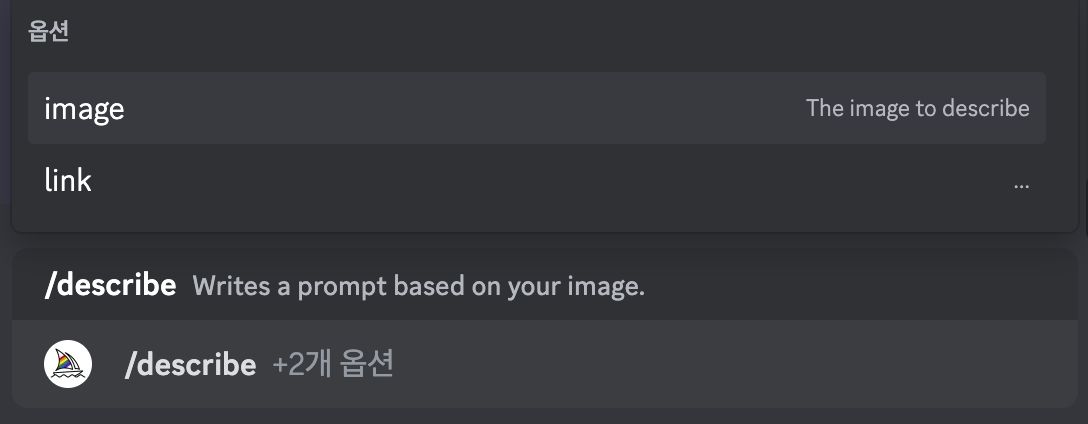 /describe 입력 후 image 선택