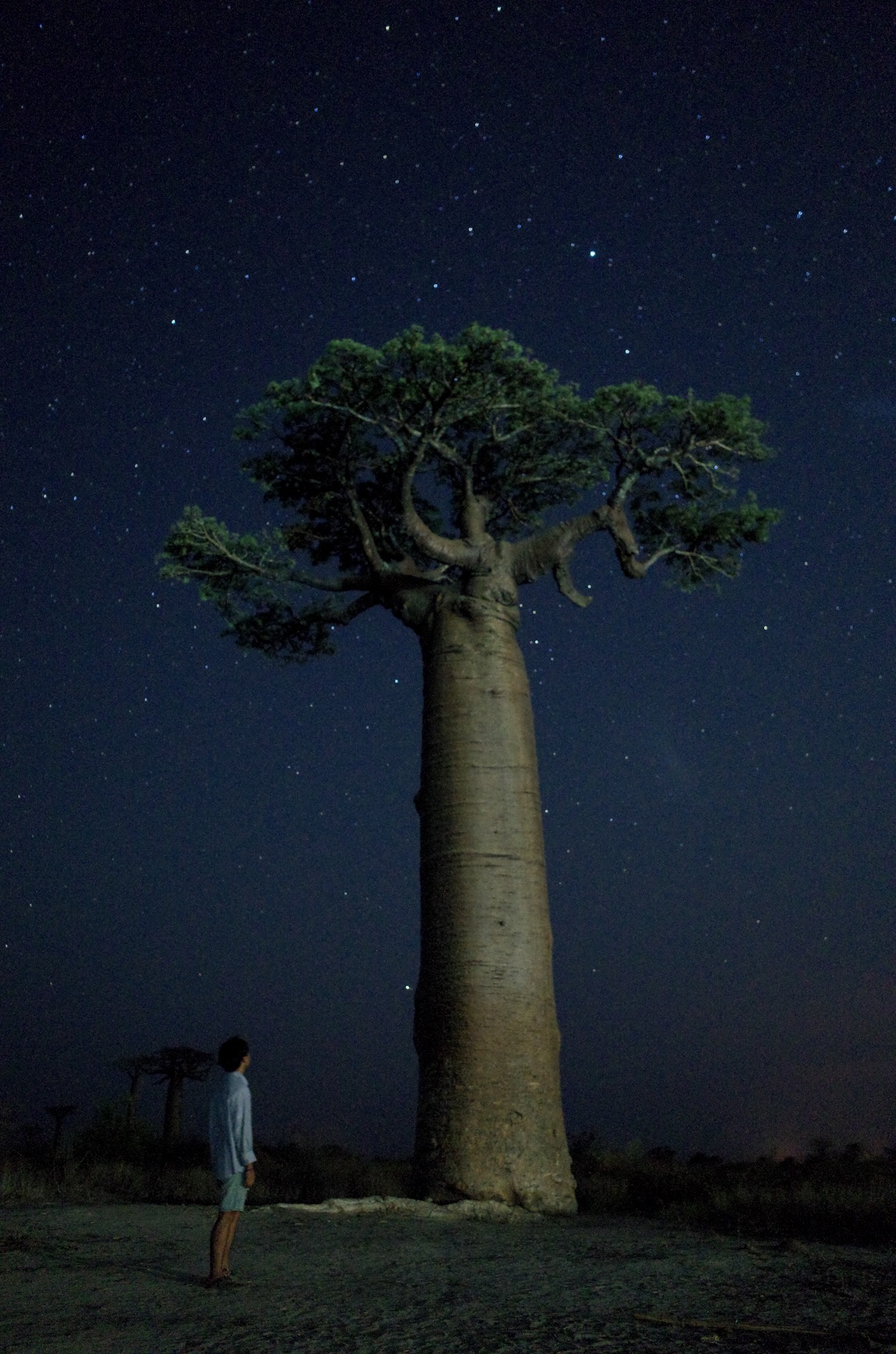 하지만 고생 끝엔 낙이..