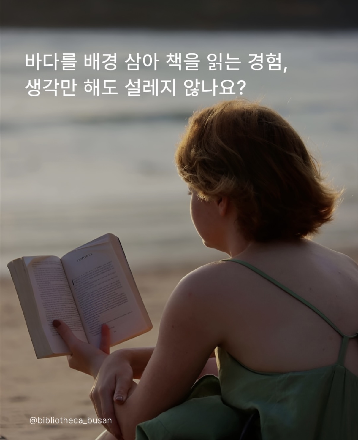 출처: 부산바다도서관 인스타그램