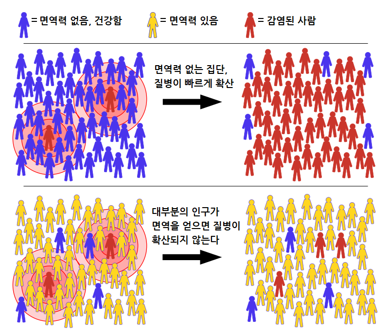 집단 면역을 설명하는 그림입니다. 출처: Wikimedia Commons/Tkarcher, Herd immunity.svg, CC BY-SA 4.0