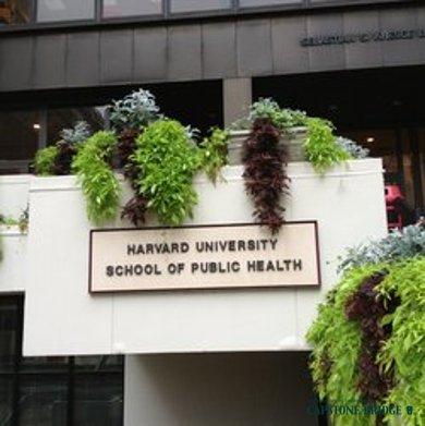 [해외 기관 방문] Harvard School of Public Health, MA 방문의 썸네일 이미지