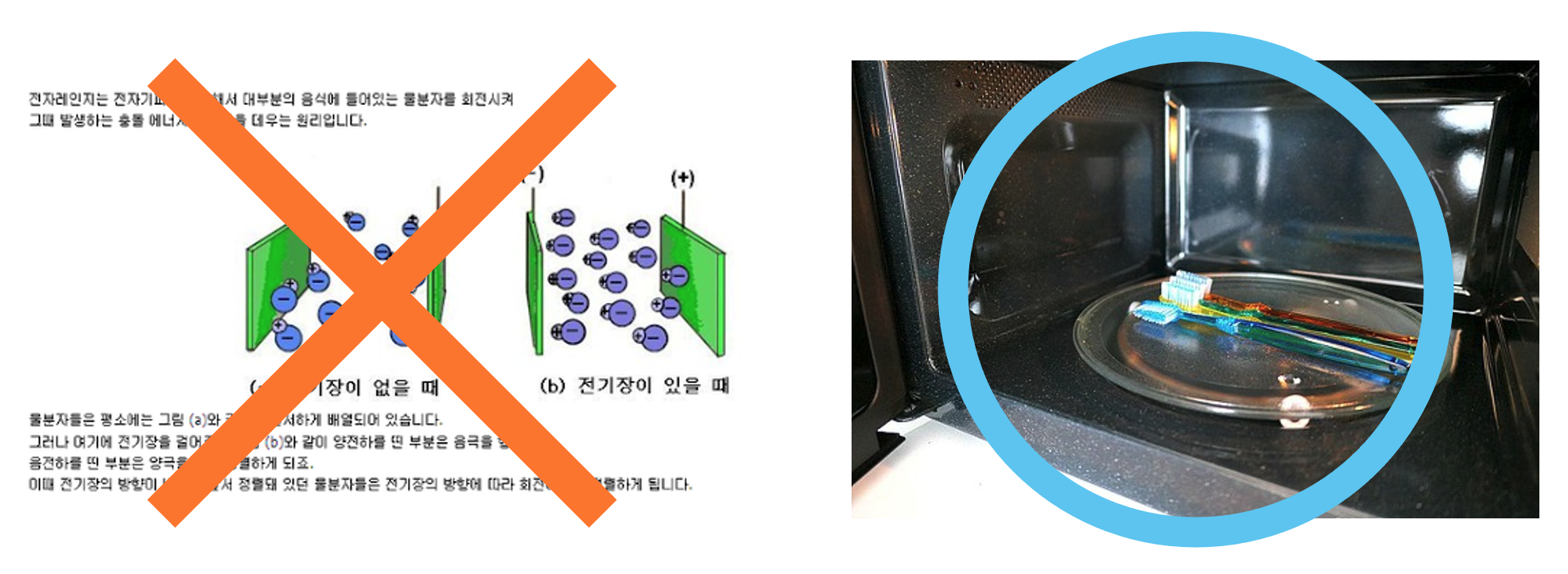 전자렌지로 칫솔살균도 할 수 있다고 합니다