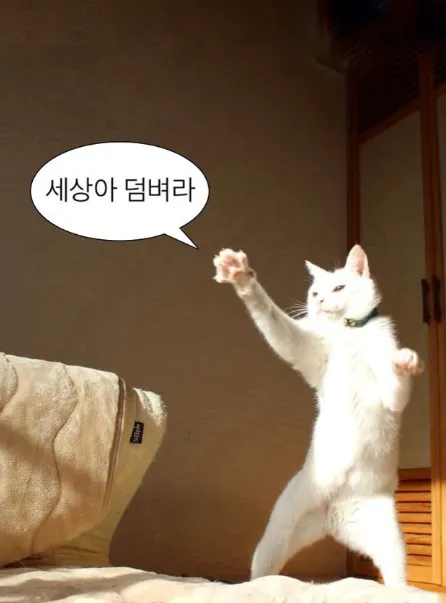 이미지 = 핀터레스트 캡처 (https://kr.pinterest.com/pin/25966135345314534/)