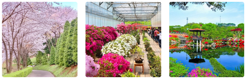 출처 : 대한민국 구석구석