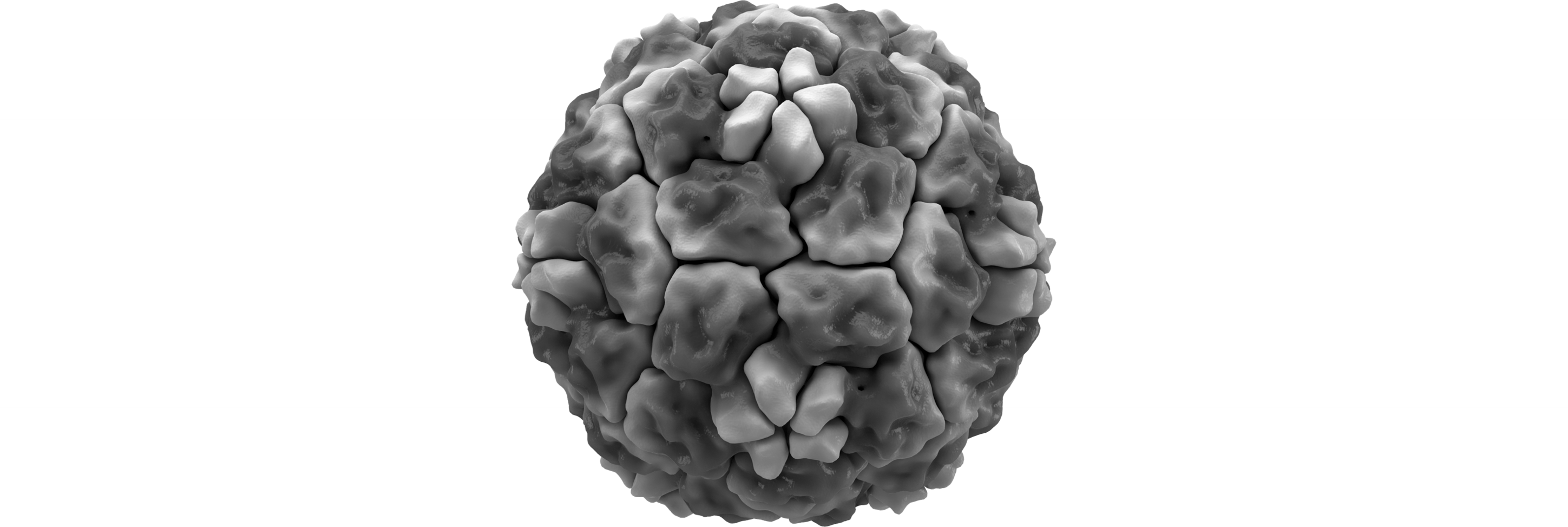 감기를 일으키는 리노바이러스의 모습입니다. 출처: Wikimedia Commons/Thomas Splettstoesser, File:Rhinovirus isosurface.png, CC BY-SA 4.0.