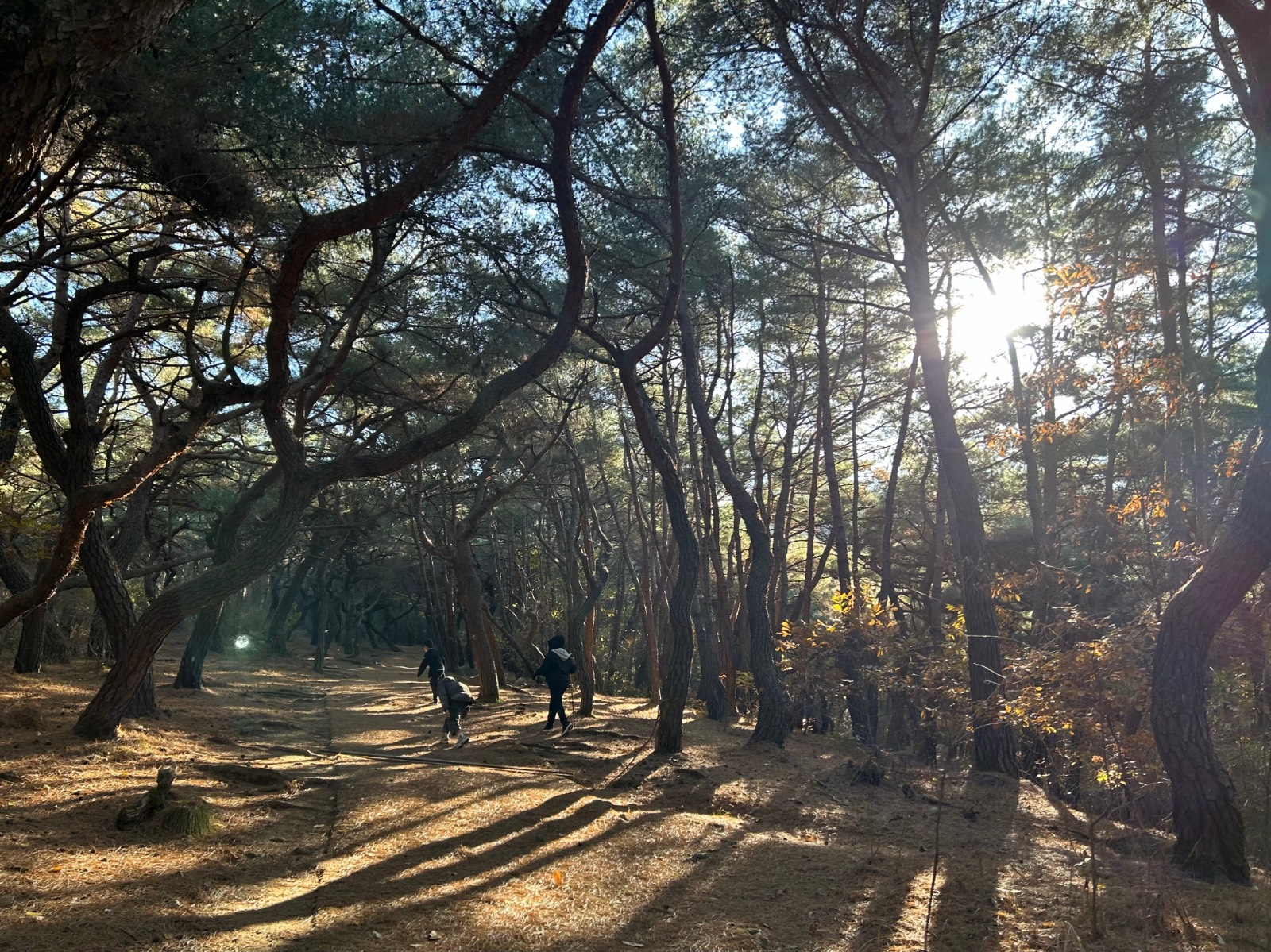 첨부 이미지