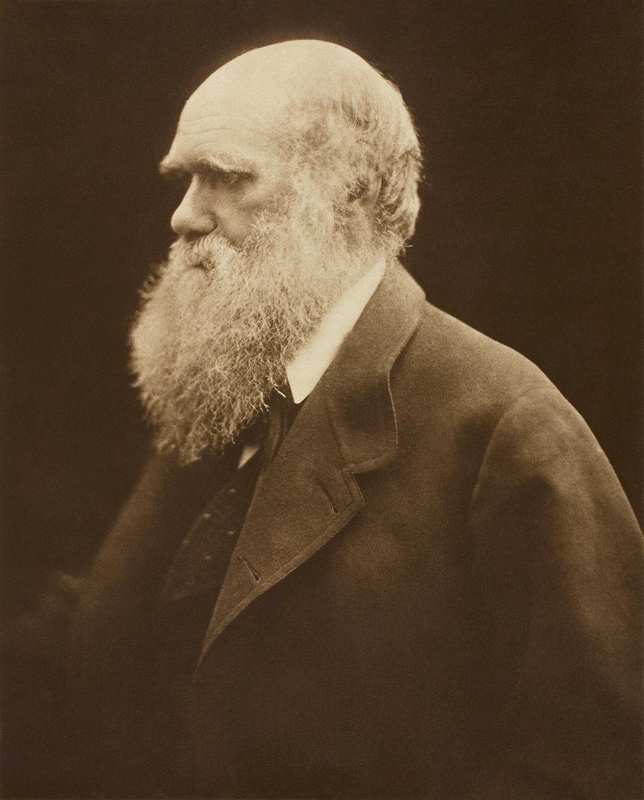 <b><i>Figure.14</i></b> 찰스 다윈