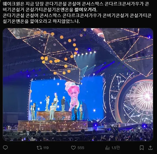 이미지 = X캡처 (https://x.com/hamnyammi/status/1888963938878140482)