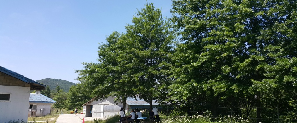 핀오크의 썸네일 이미지