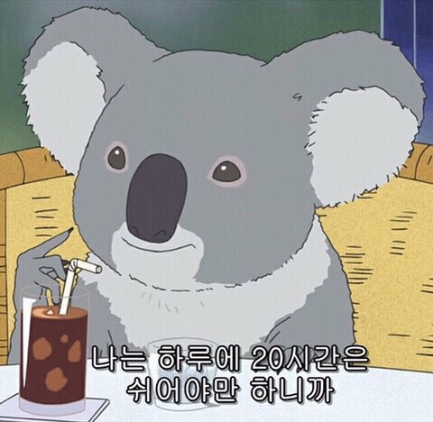 씨에스티 이미지