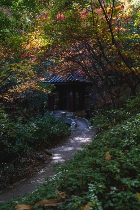 기본 톤 사진