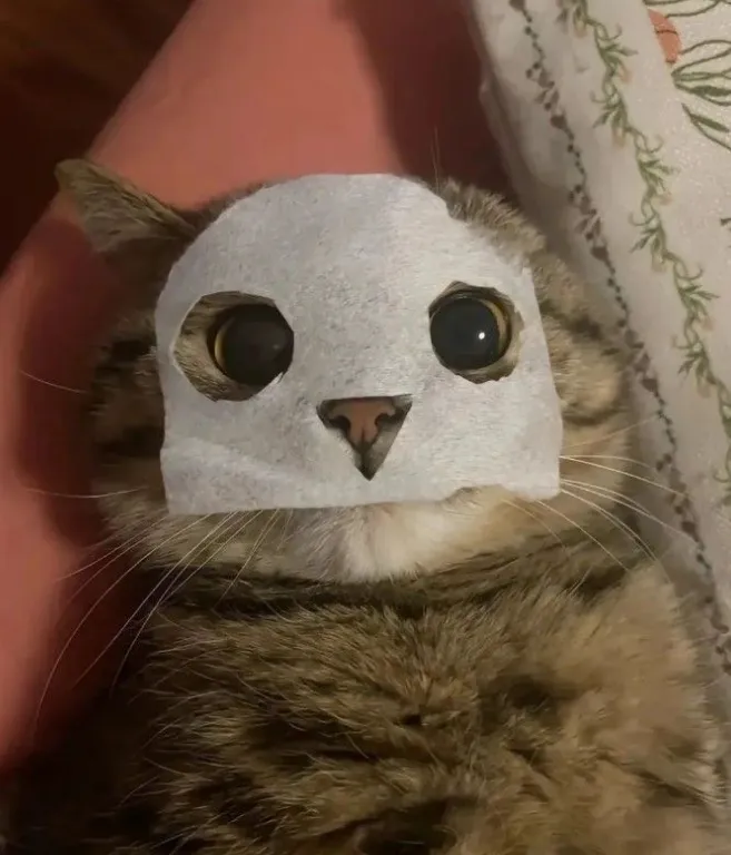 이미지 = 핀터레스트 캡처 (https://kr.pinterest.com/pin/549228117078607379/)