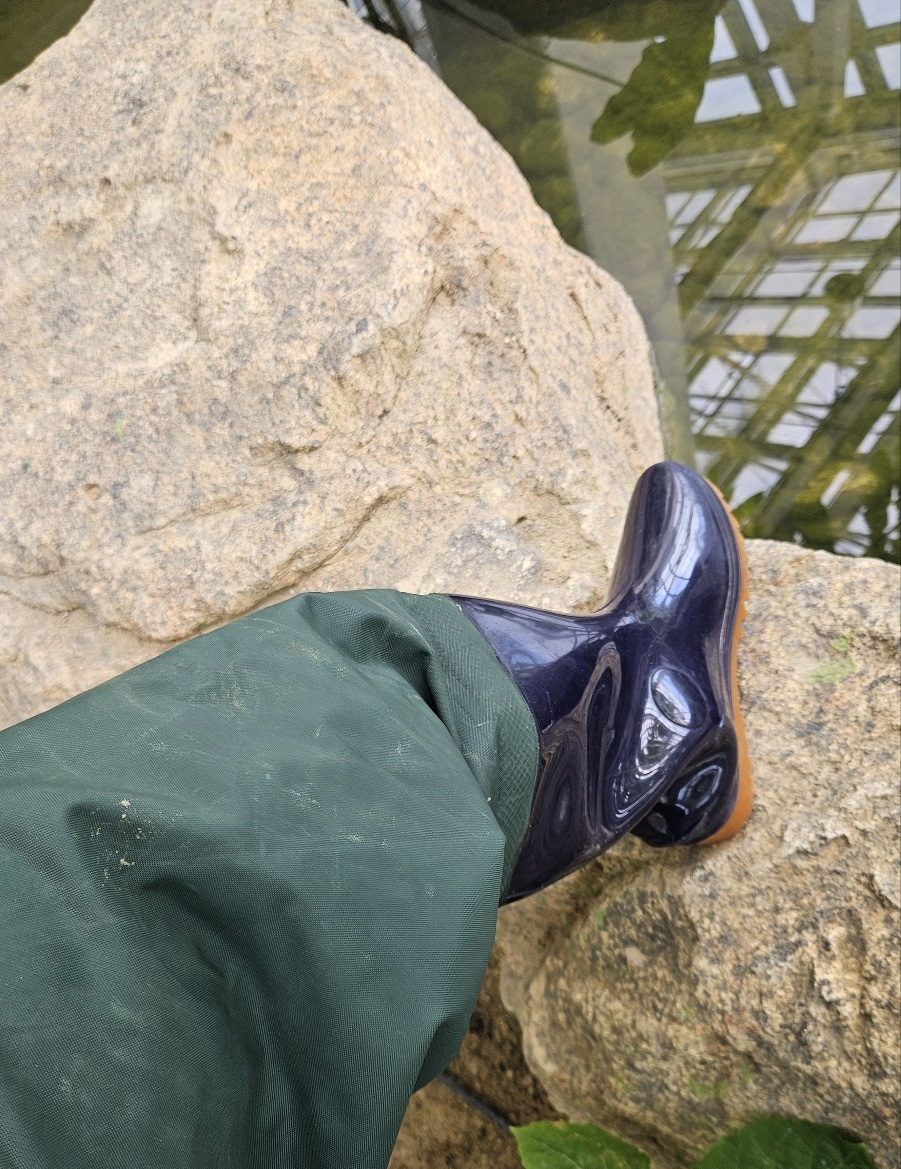 연못 입수 직전, 신났던 것 같기도 하다 ㅎ