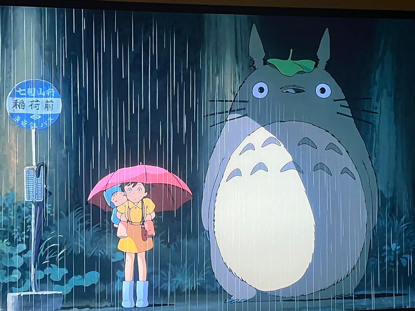 암입니다. 의 썸네일 이미지