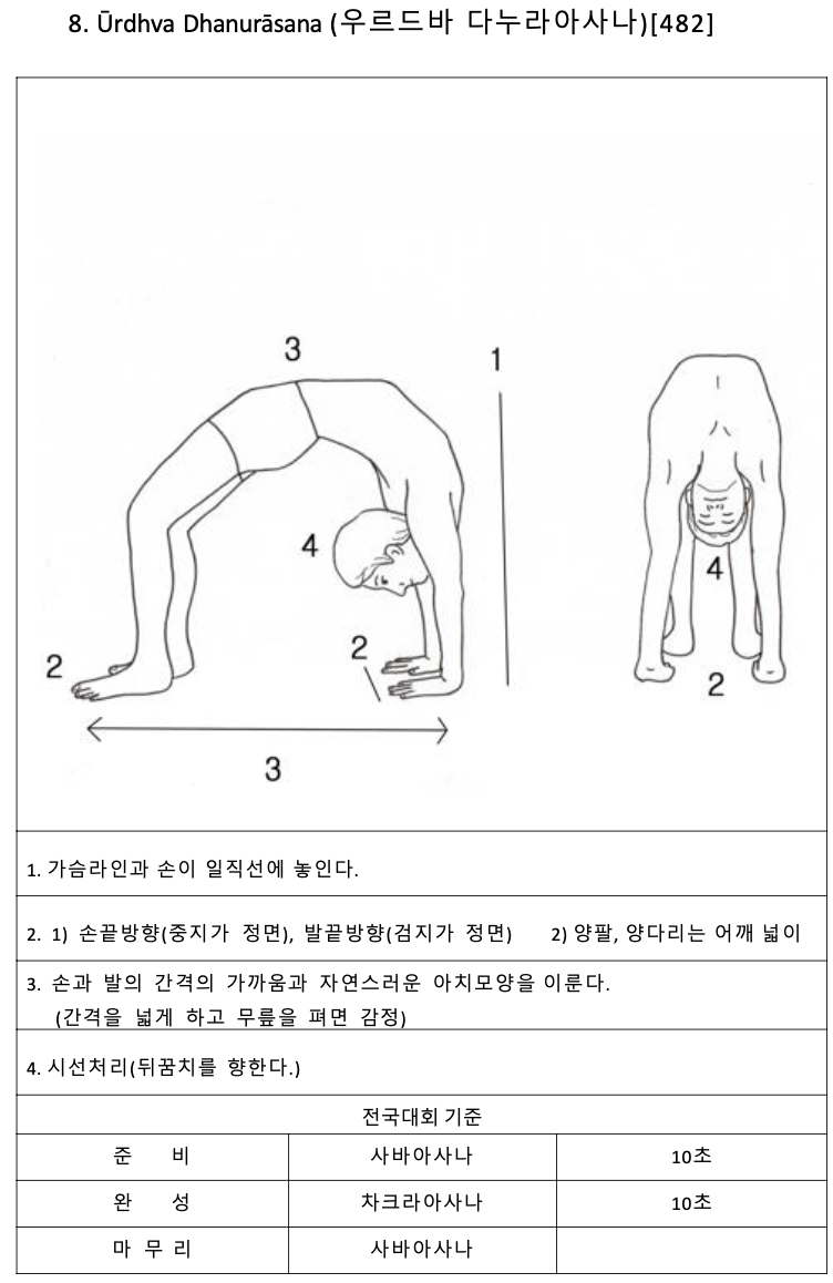 대한요가회장배 전국요가대회 아사나 등급표 예시