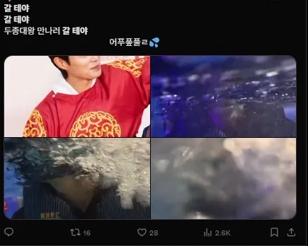 이미지 = X캡처 (https://x.com/duyoiszzin/status/1954849578102198610)