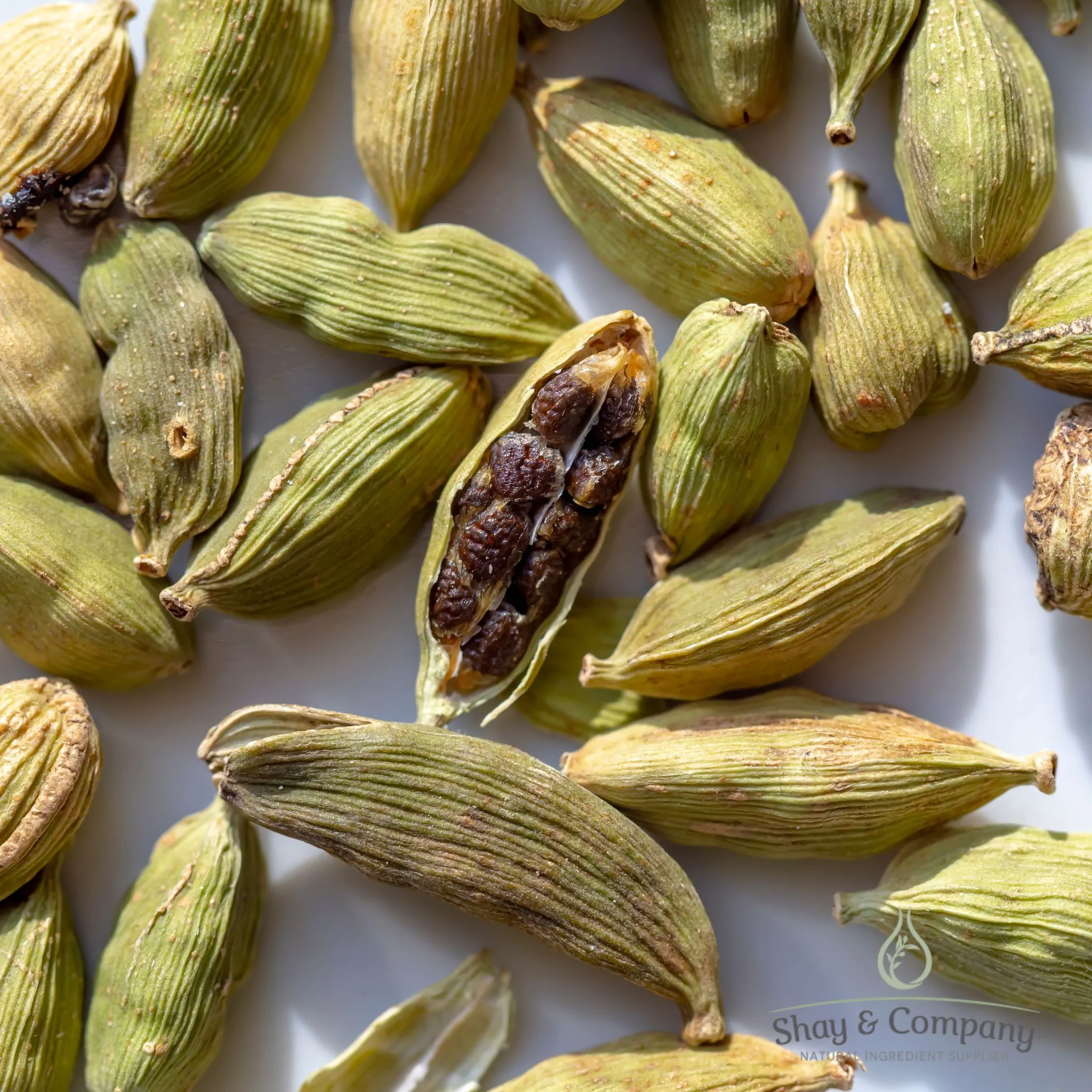 Cardamom