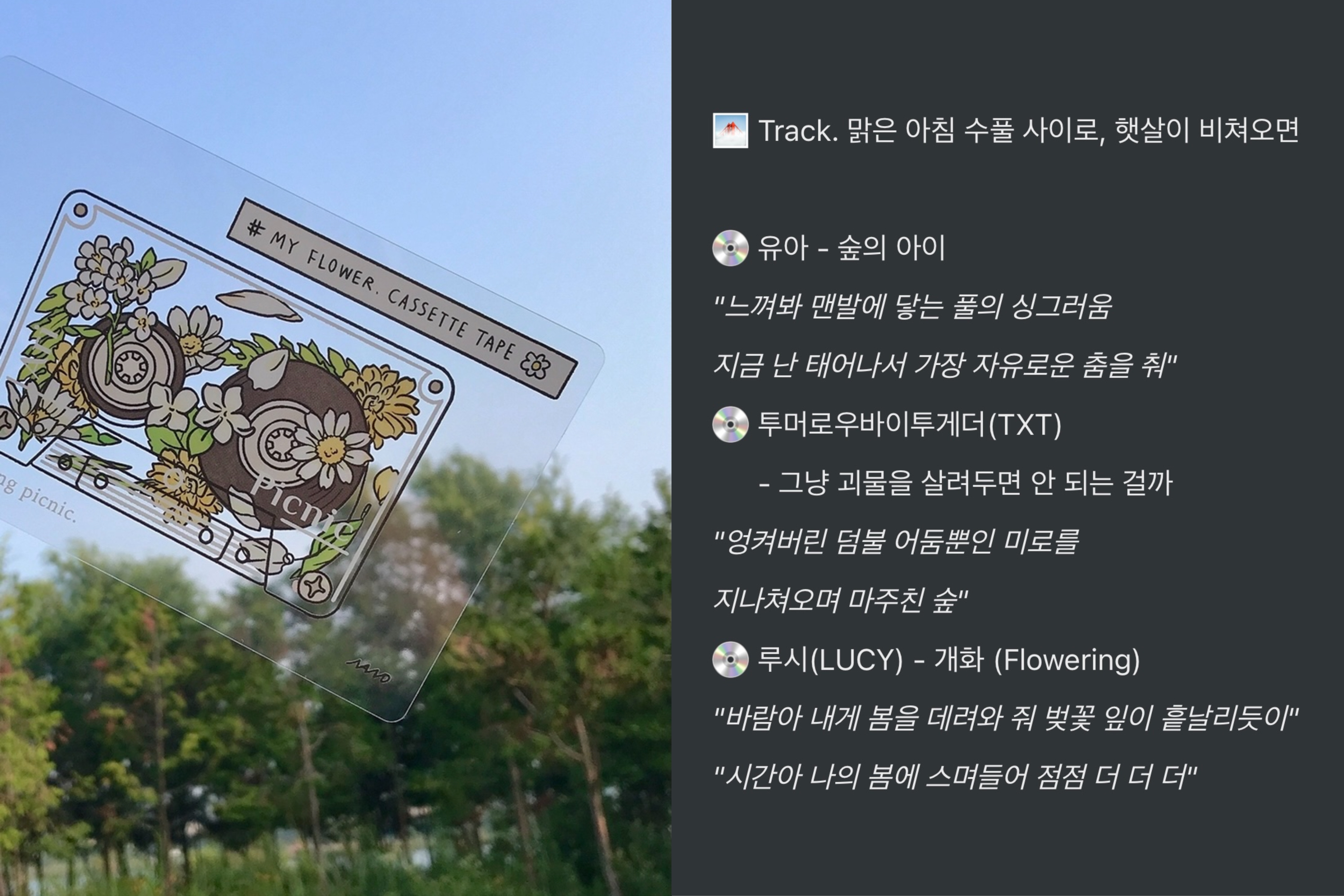 🌁 Track. 맑은 아침 수풀 사이로, 햇살이 비쳐오면