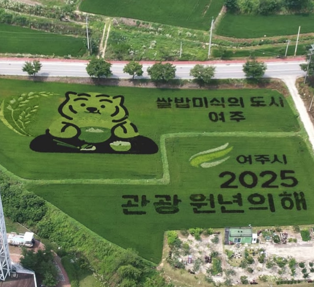 출처 : 인스타그램(@muziktiger)