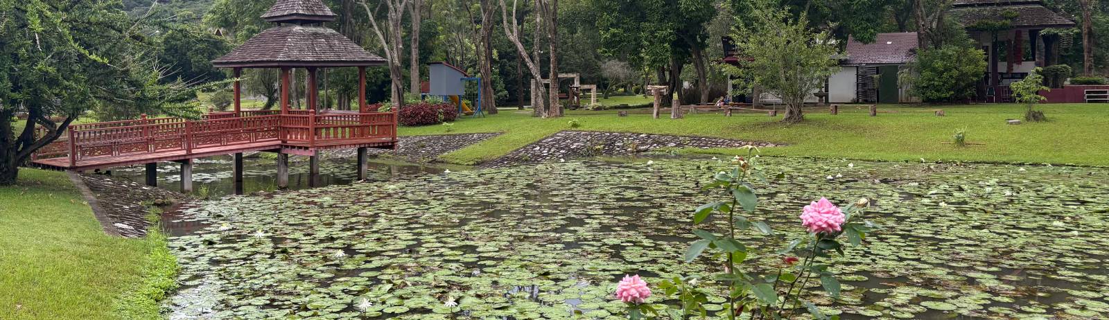 너희 빈 평안이 거기 임할 것이요 의 썸네일 이미지