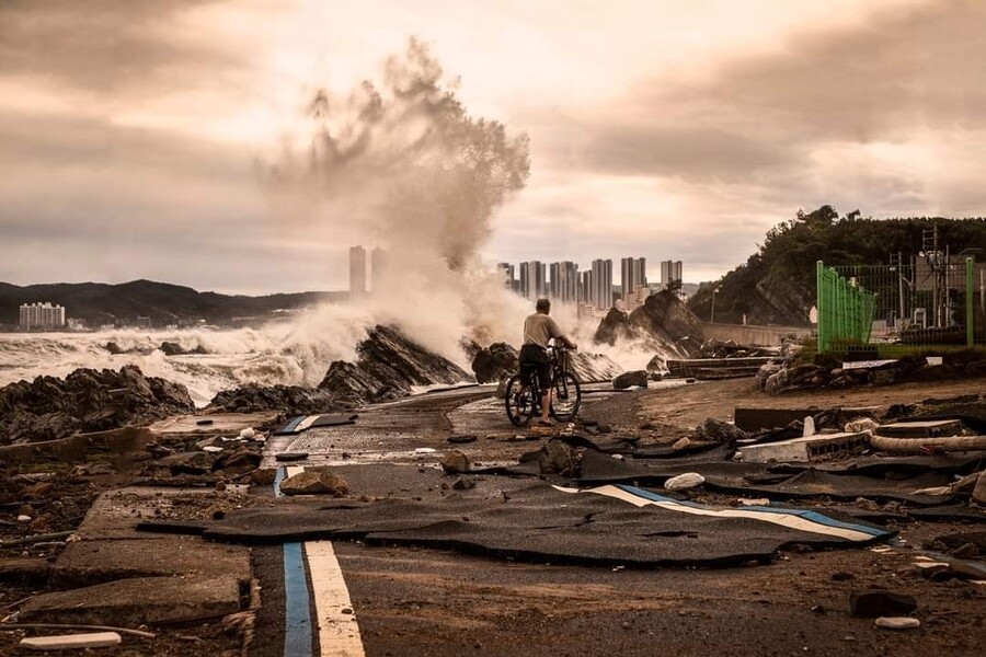 [환경] 내년 세계기상기구 달력에 실리는 '힌남노'와 'K-버스' 사진의 썸네일 이미지