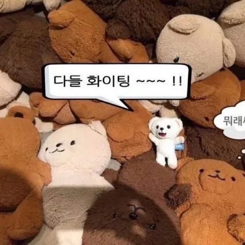 이미지 = 네이버 블로그 캡처 (https://blog.naver.com/hansol_99/223615247885)