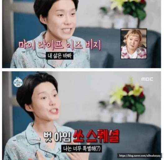 이미지 = 네이버 블로그 캡처 (https://blog.naver.com/rlaekdud6242/223204080288)