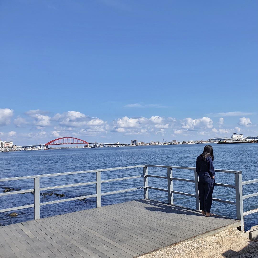 바다 같지만 청초호 호수