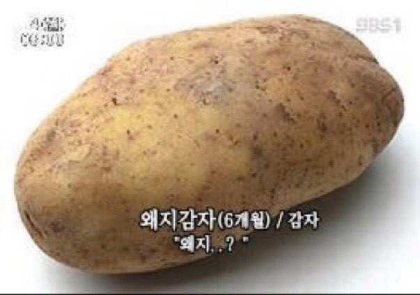 우리 회사 핵심가치가 이상한 이유의 썸네일 이미지